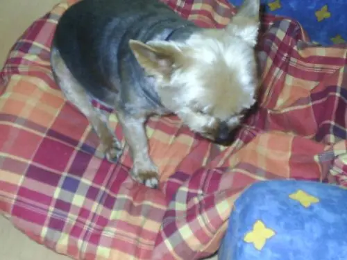 Image from Denny