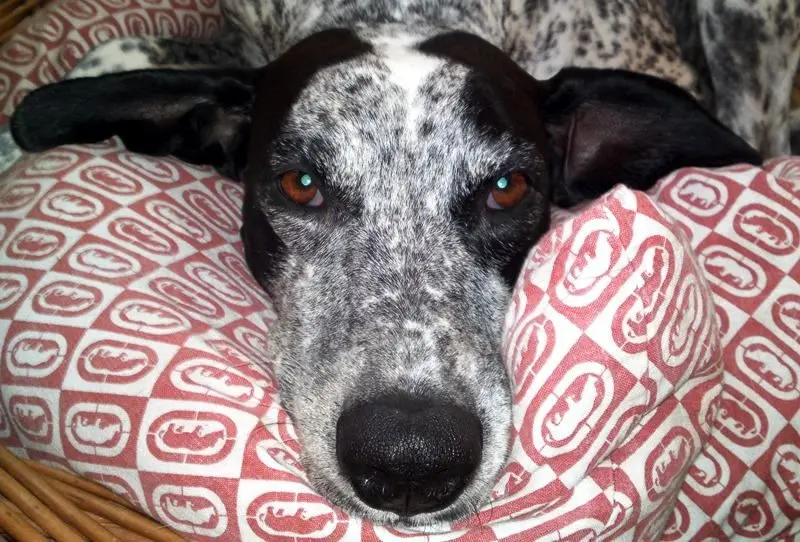 Condolence image of Ewa