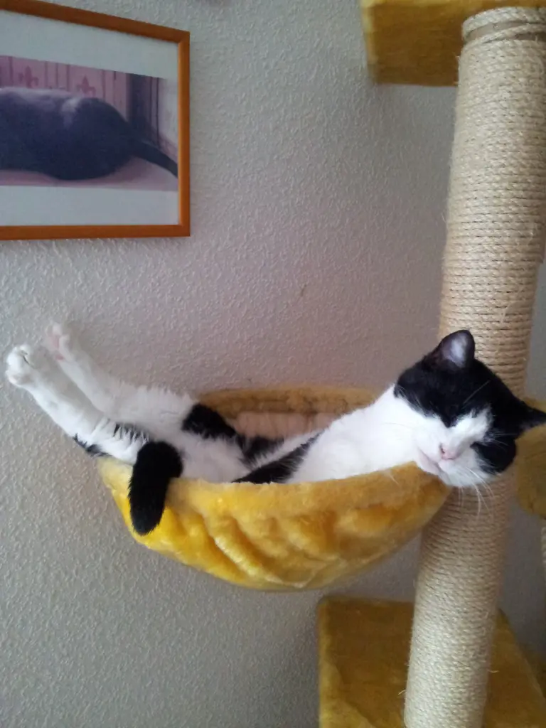 Condolence image of deiner Ilse