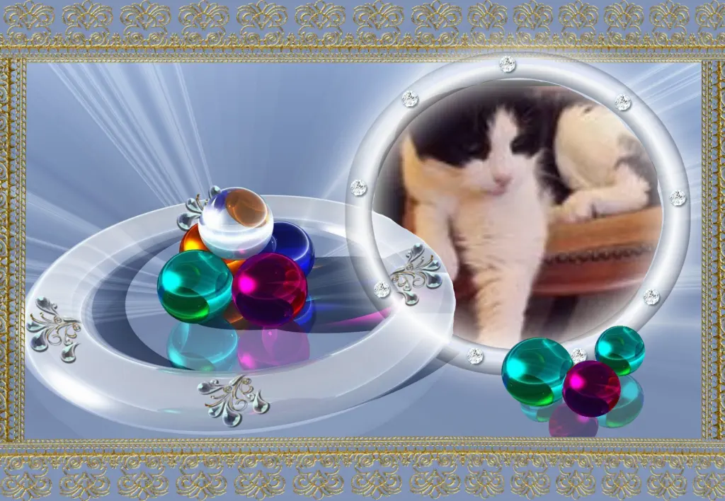 Condolence image of Klaudia mit Misiu❤❤❤Ganz Tief im Herzen❤