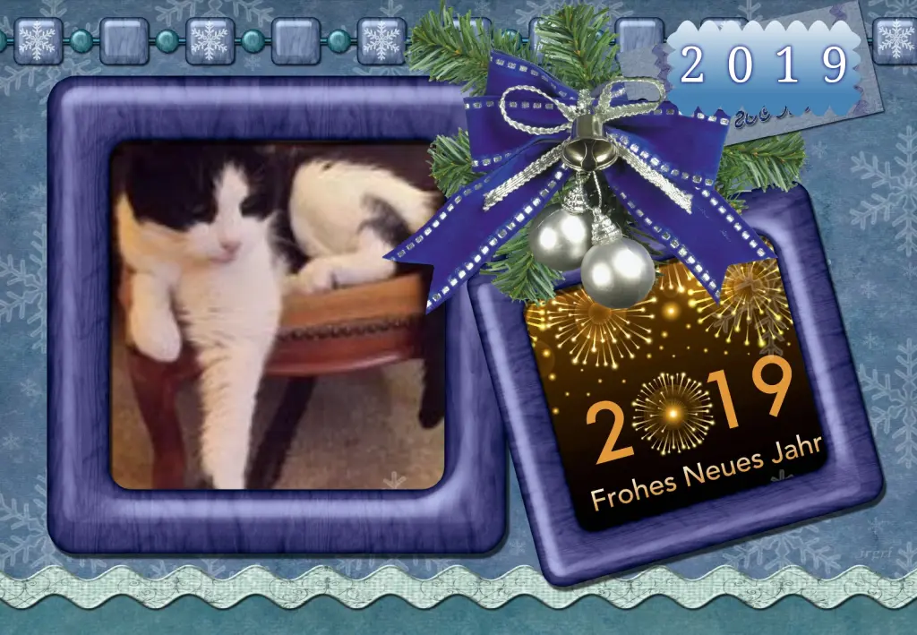 Condolence image of Klaudia mit Misiu❤❤❤Ganz Tief im Herzen❤