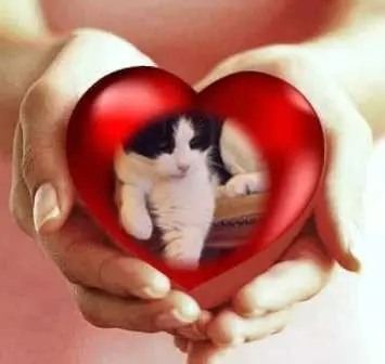 Condolence image of Sonntags Rosen❤️fur Liebe Fee❤️