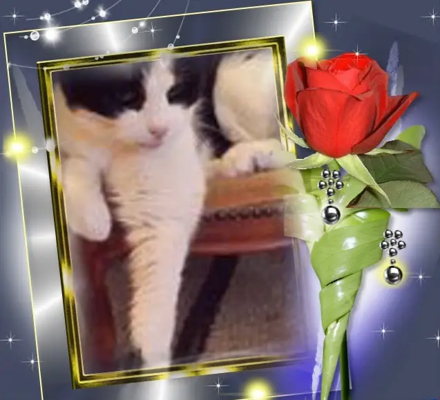 Condolence image of ❤️❤️❤️