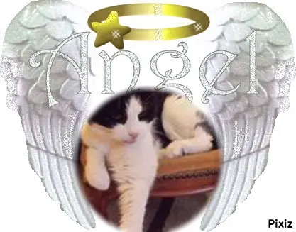 Condolence image of ❤️❤️❤️