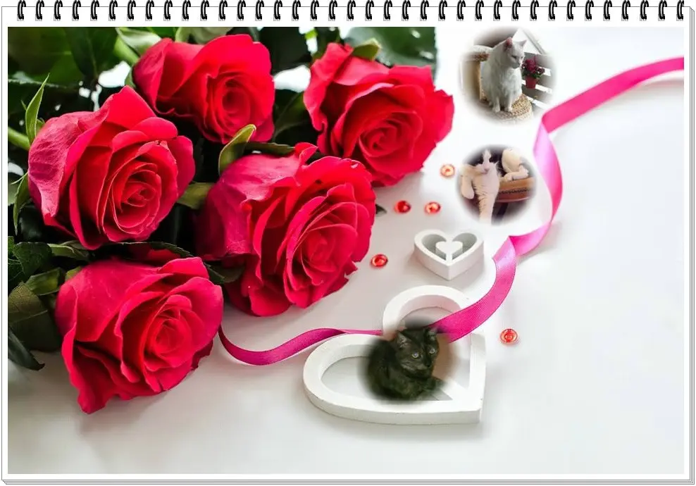 Condolence image of ❤️❤️❤️