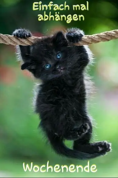 Condolence image of Eike und Edeltraud mit Mulle Miezi und Jonny tief im Herzen 