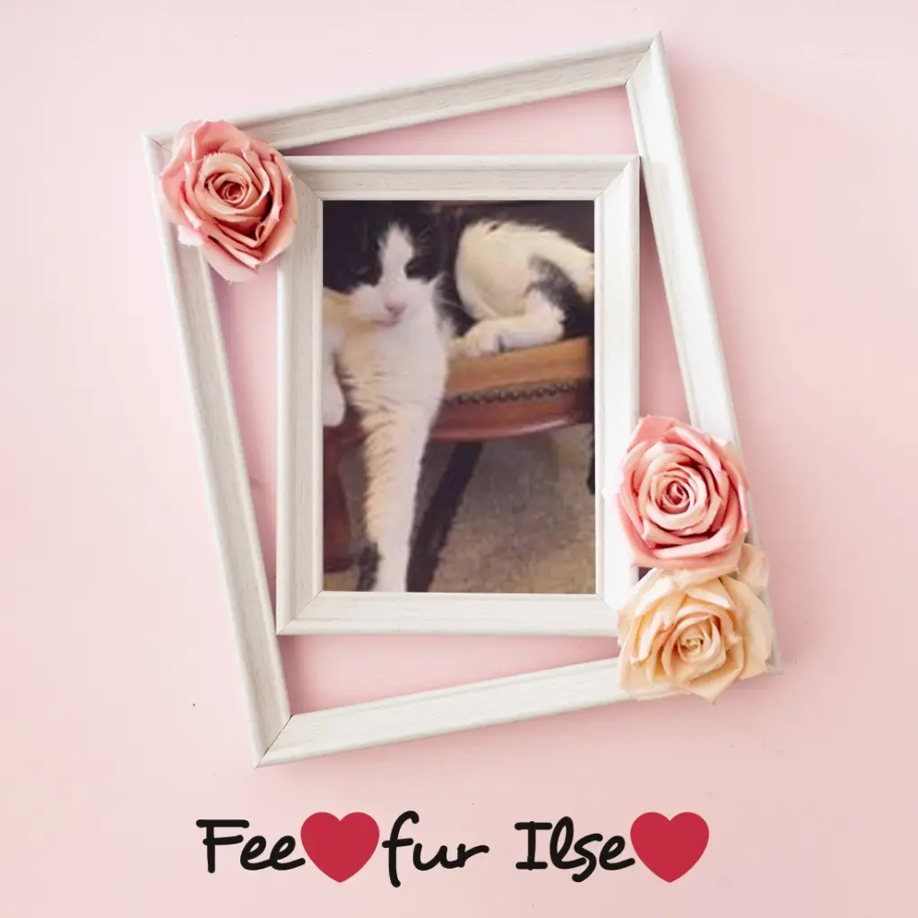 Condolence image of ❤️❤️❤️