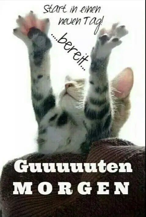 Condolence image of Eike und Edeltraud mit Mulle, Miezi und Jonny tief im Herzen 