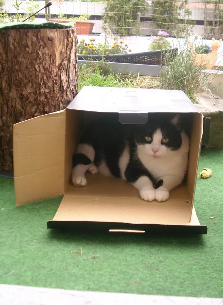 Condolence image of deiner Ilse in Liebe