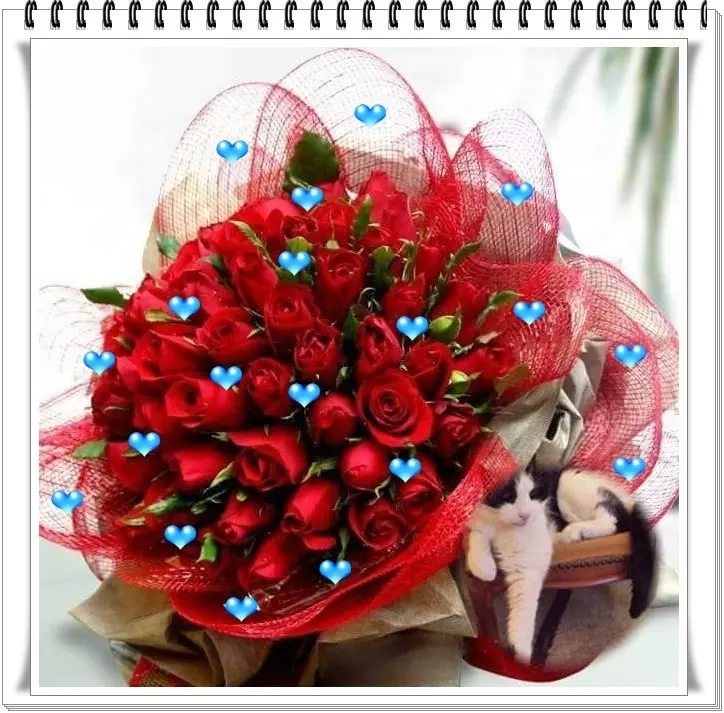 Condolence image of Sonntags Rosen fur Fee❤️