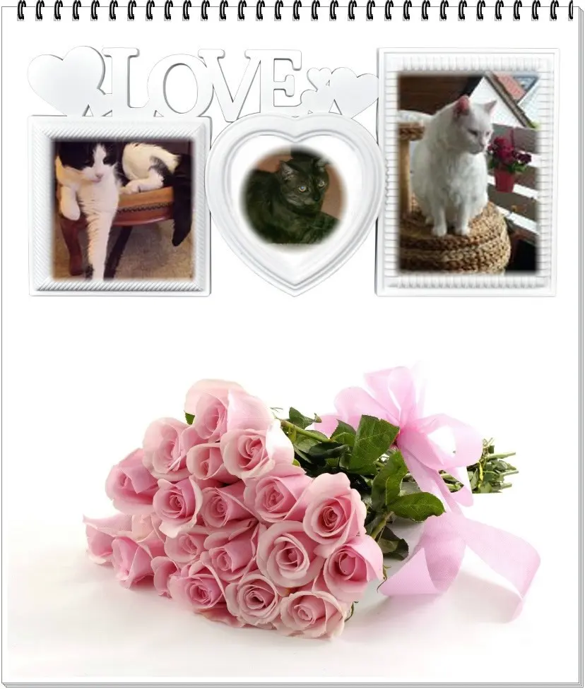 Condolence image of ❤️❤️❤️