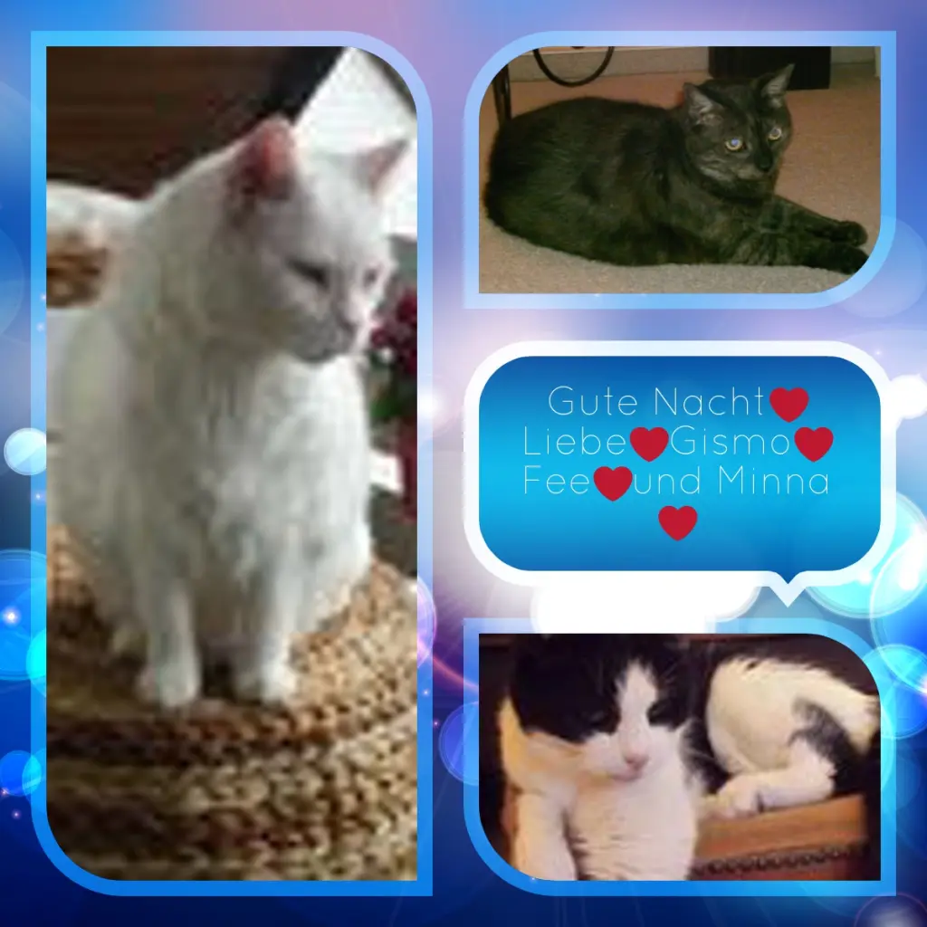 Condolence image of ❤️❤️❤️