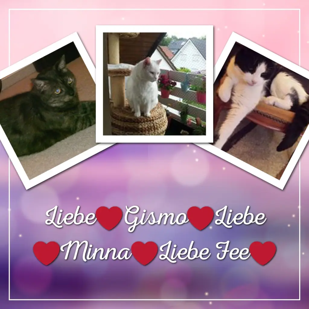 Condolence image of ❤️❤️❤️