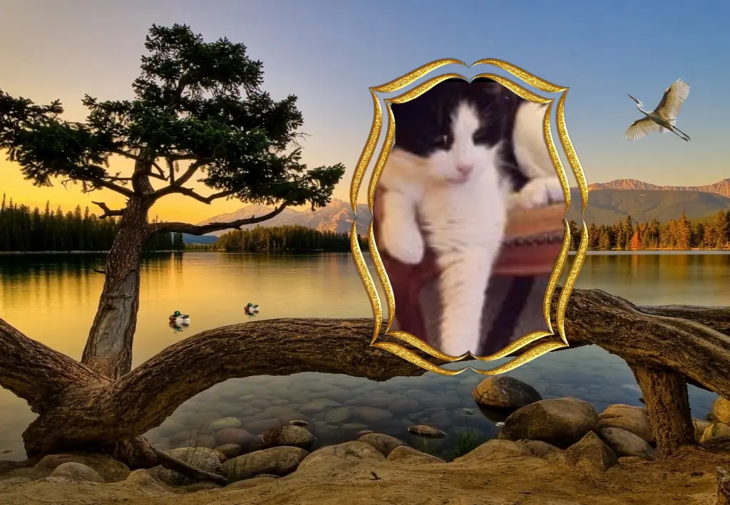 Condolence image of ❤️❤️❤️