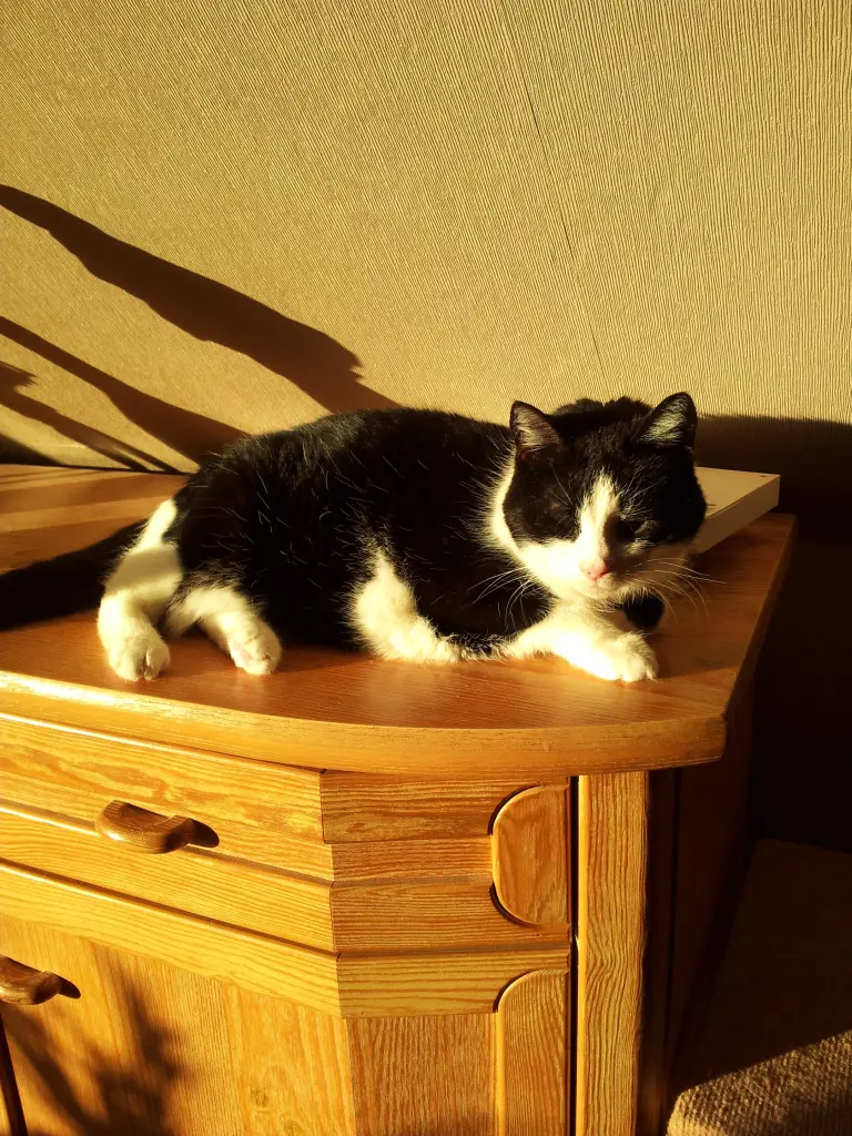 Condolence image of deiner Ilse in Liebe