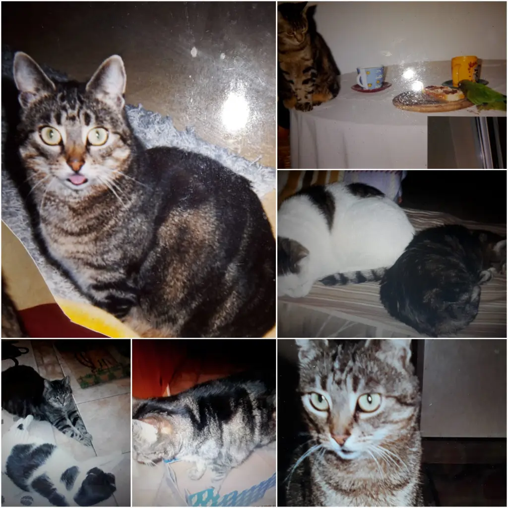 Condolence image of Eike und Edeltraud ♥️