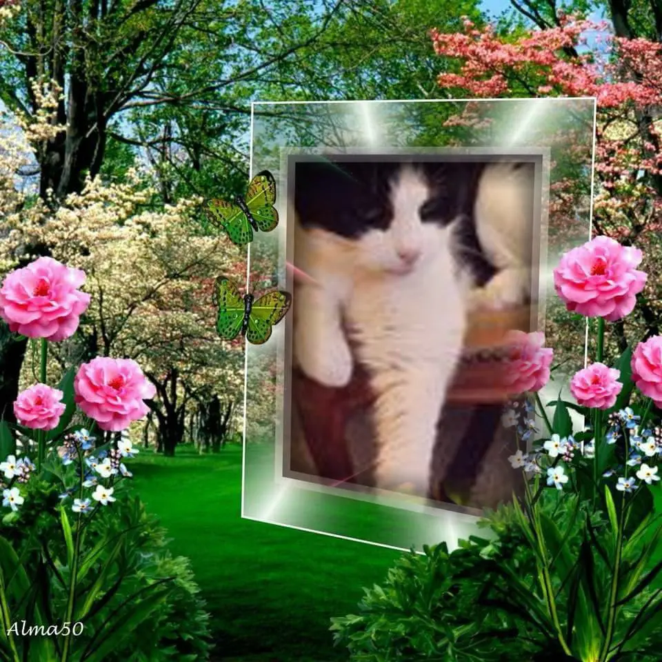 Condolence image of ❤️❤️❤️