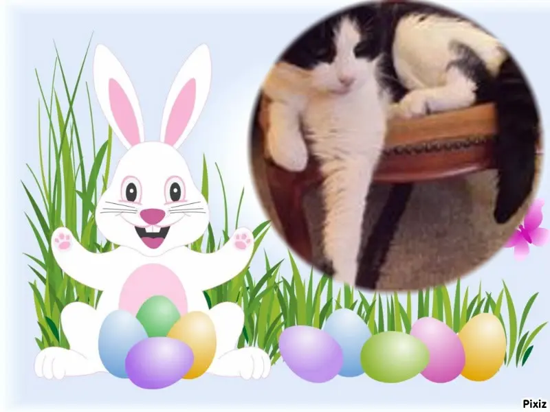 Condolence image of ❤️❤️❤️