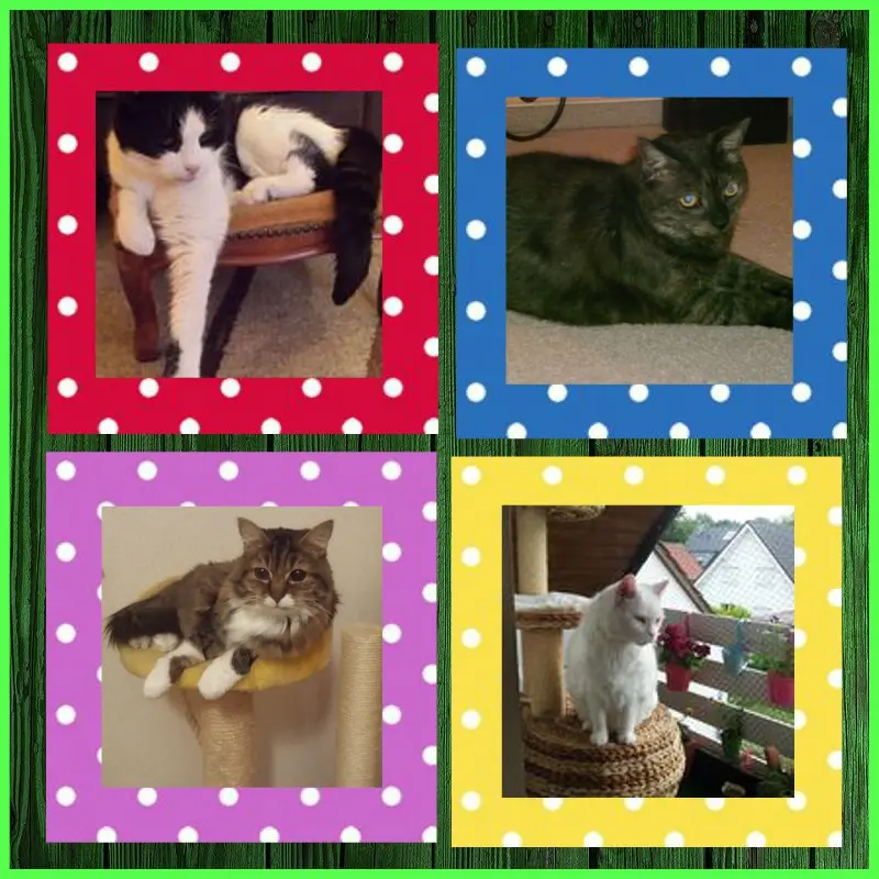 Condolence image of ❤️❤️❤️