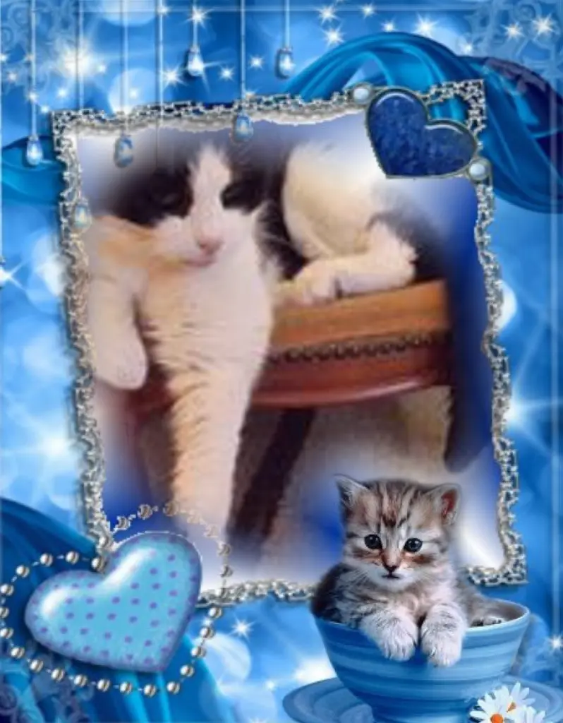 Condolence image of ❤️❤️❤️