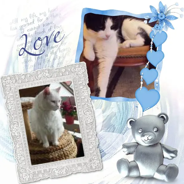 Condolence image of ❤️❤️❤️