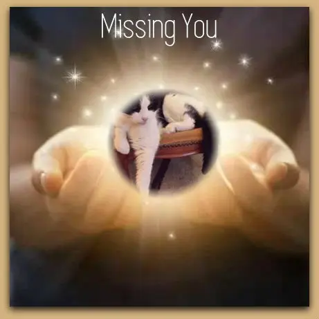 Condolence image of ❤️❤️❤️