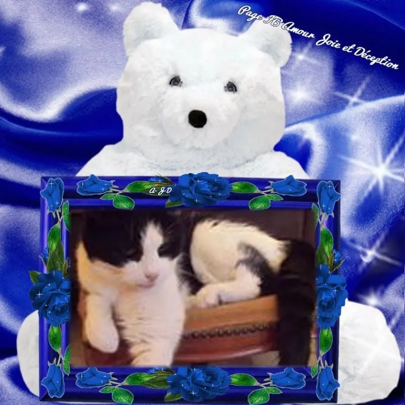 Condolence image of ❤️❤️❤️