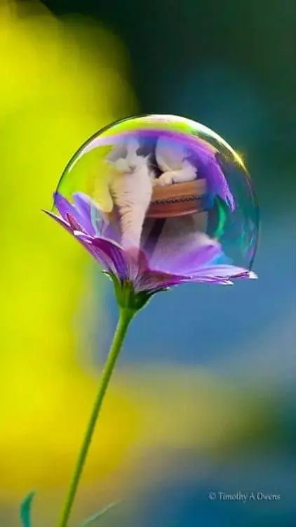 Condolence image of ❤️❤️❤️