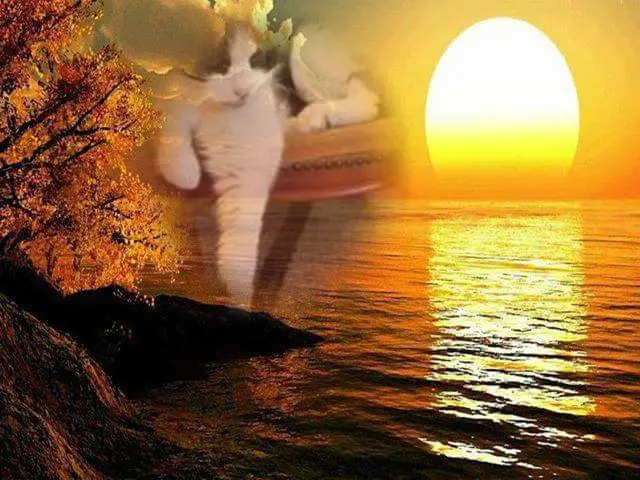 Condolence image of ❤️❤️❤️