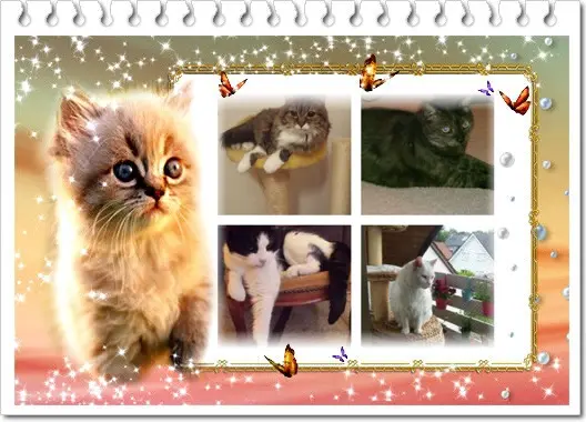 Condolence image of ❤️❤️❤️