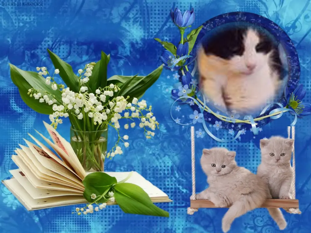 Condolence image of ❤️❤️❤️