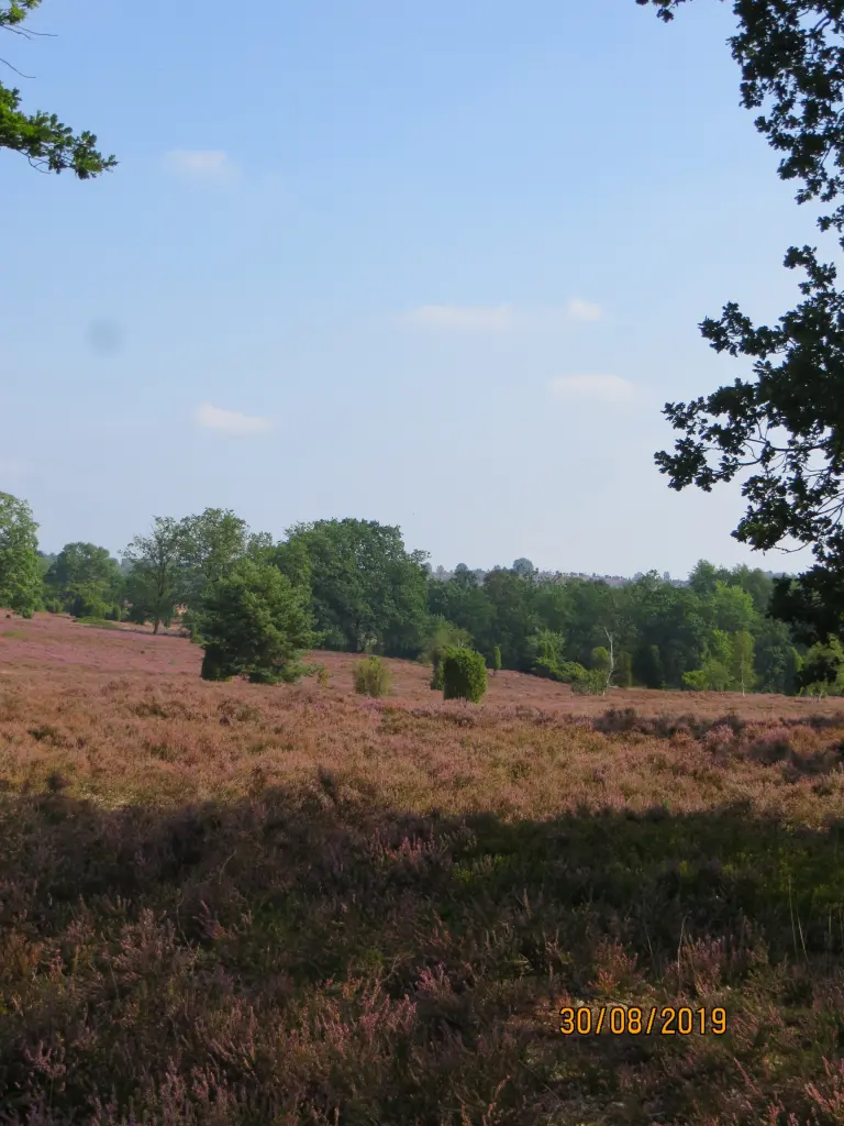 Condolence image of Uschi mit Seelenfreunden Shiva, Jojo und Merlin