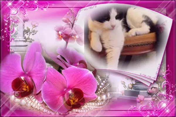 Condolence image of ❤️❤️❤️