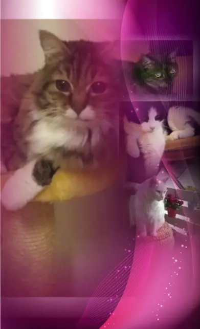 Condolence image of ❤️❤️❤️