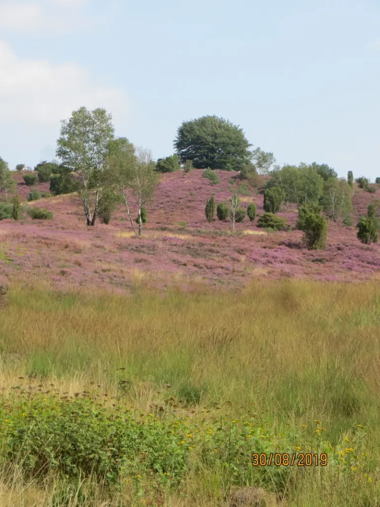 Condolence image of Uschi mit Seelenfreunden Shiva, Jojo und Merlin