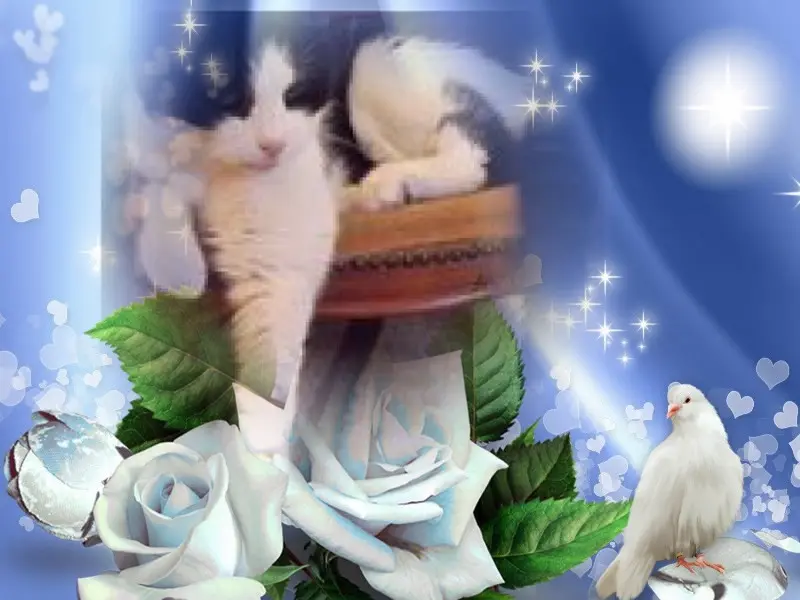 Condolence image of ❤️❤️❤️