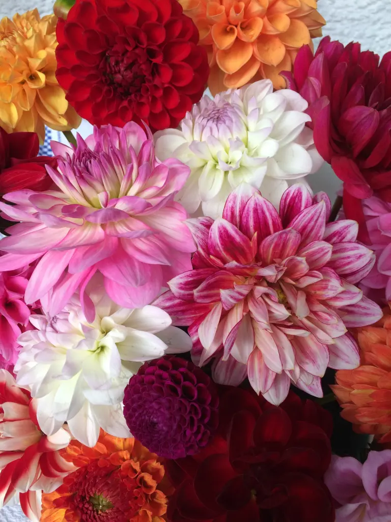 Condolence image of Eine Geschichte