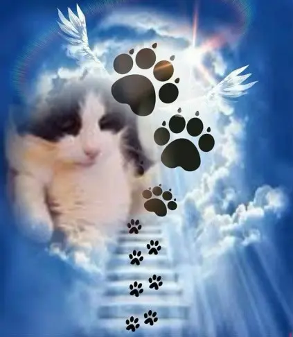 Condolence image of ❤️❤️❤️