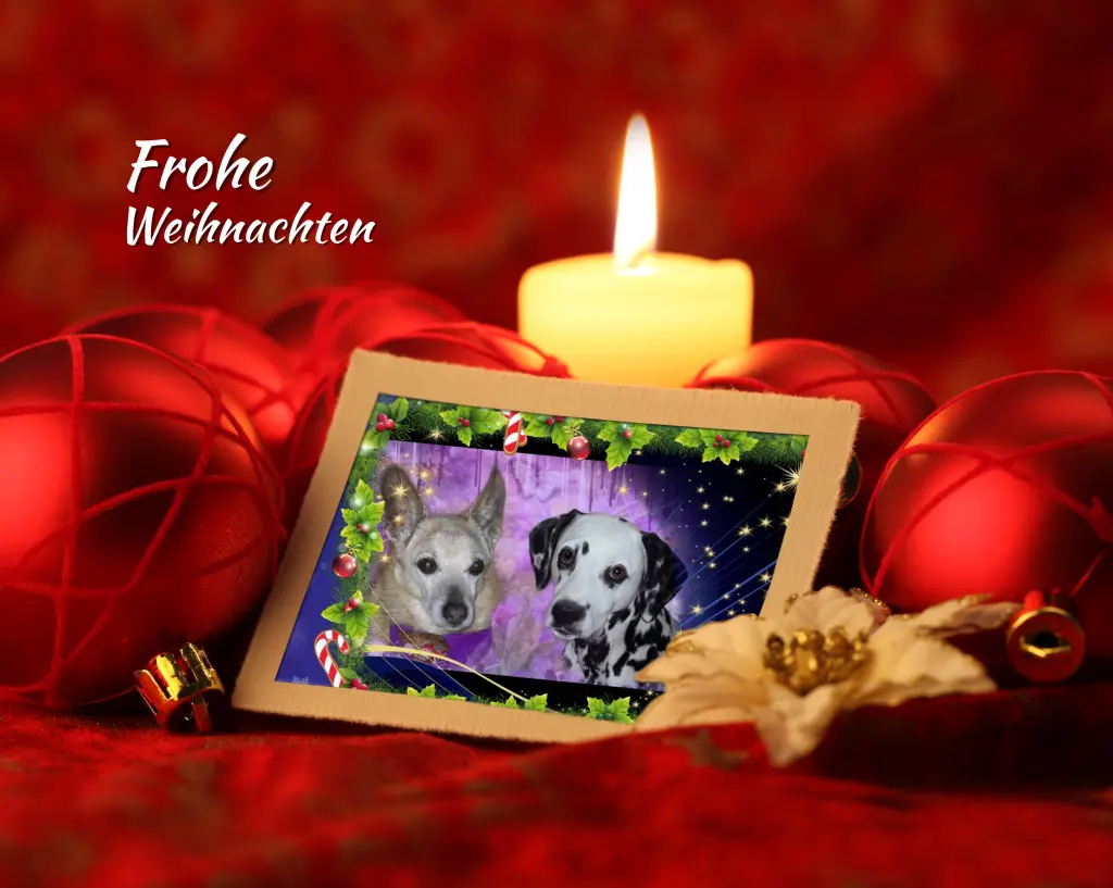 Condolence image of Eine Rose für Fee❤