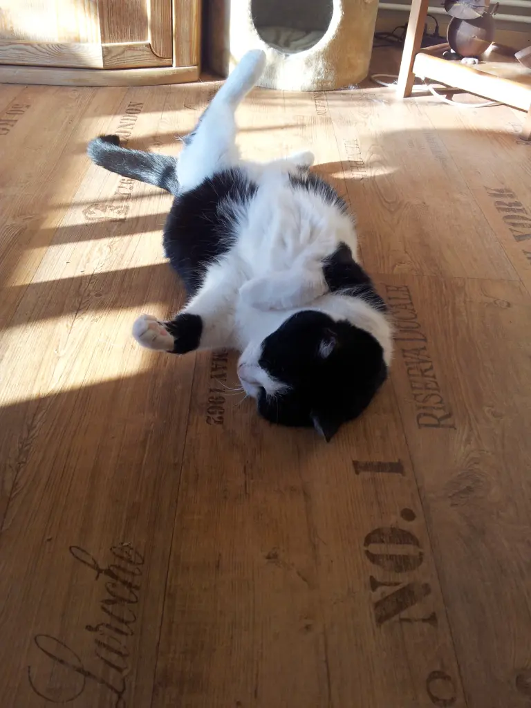 Condolence image of deiner Ilse in Liebe