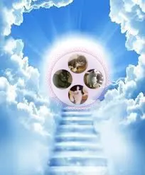 Condolence image of ❤️❤️❤️