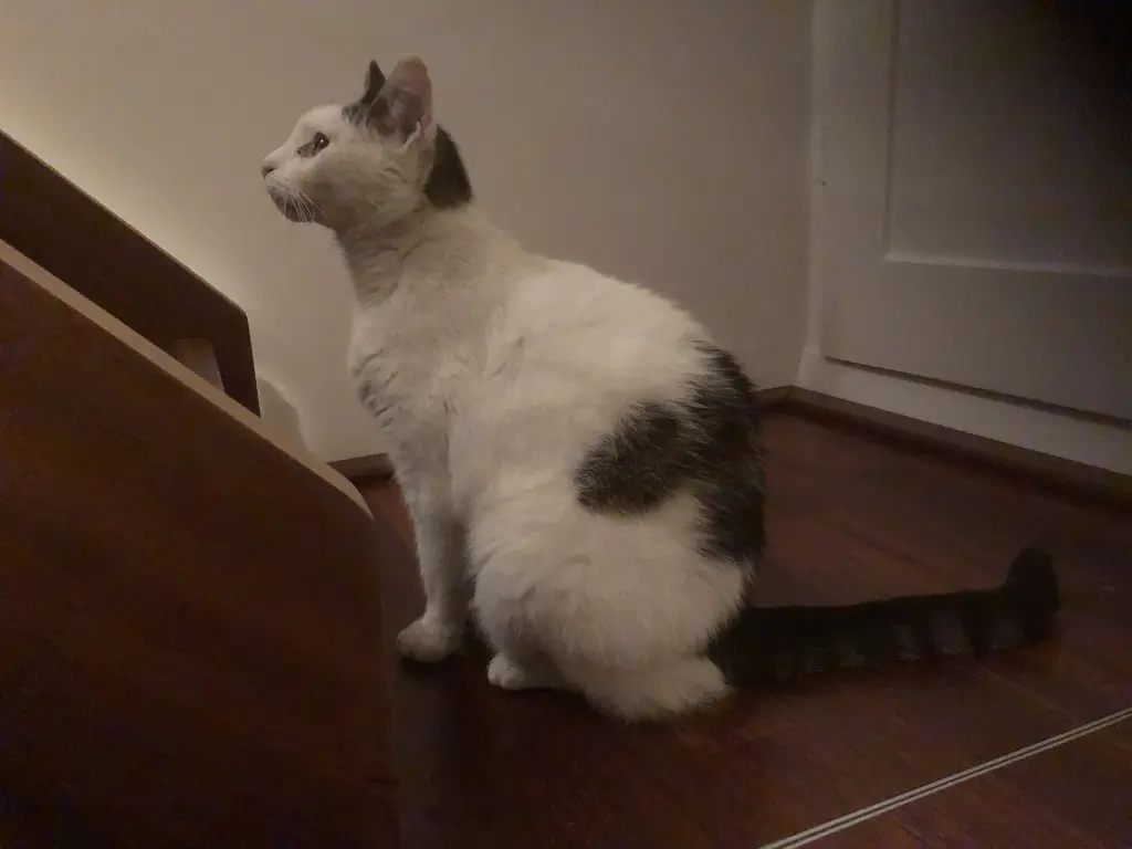 Condolence image of Unbekannt