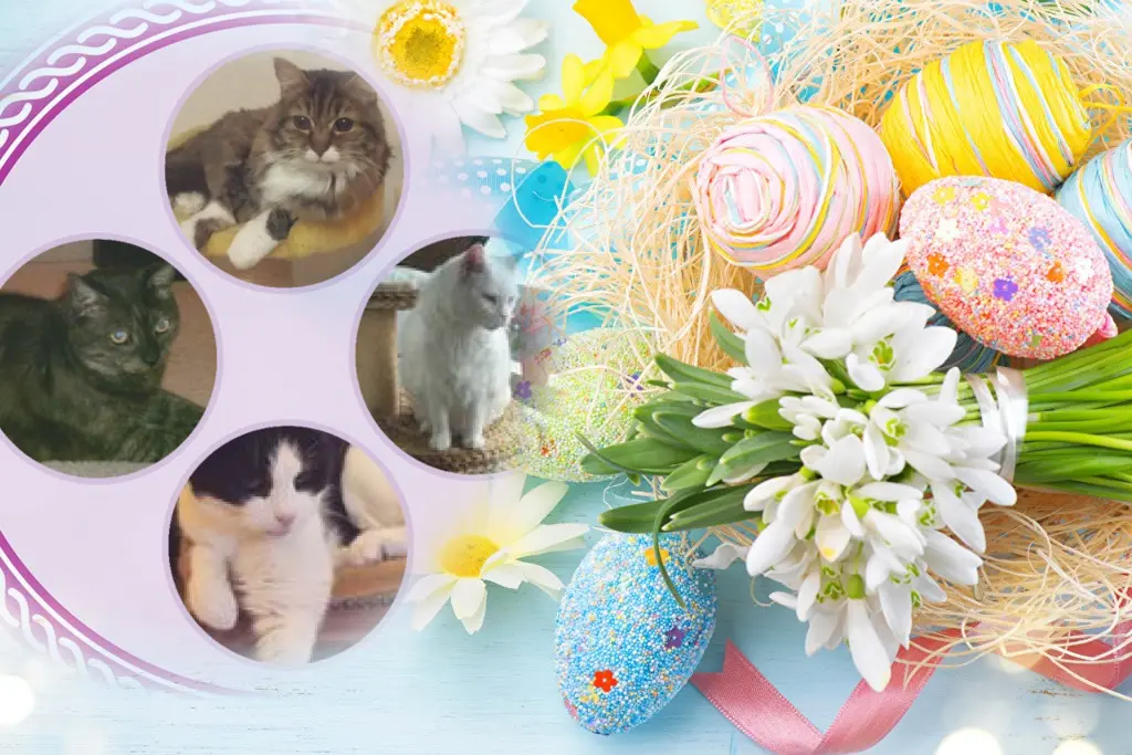 Condolence image of ❤️❤️❤️