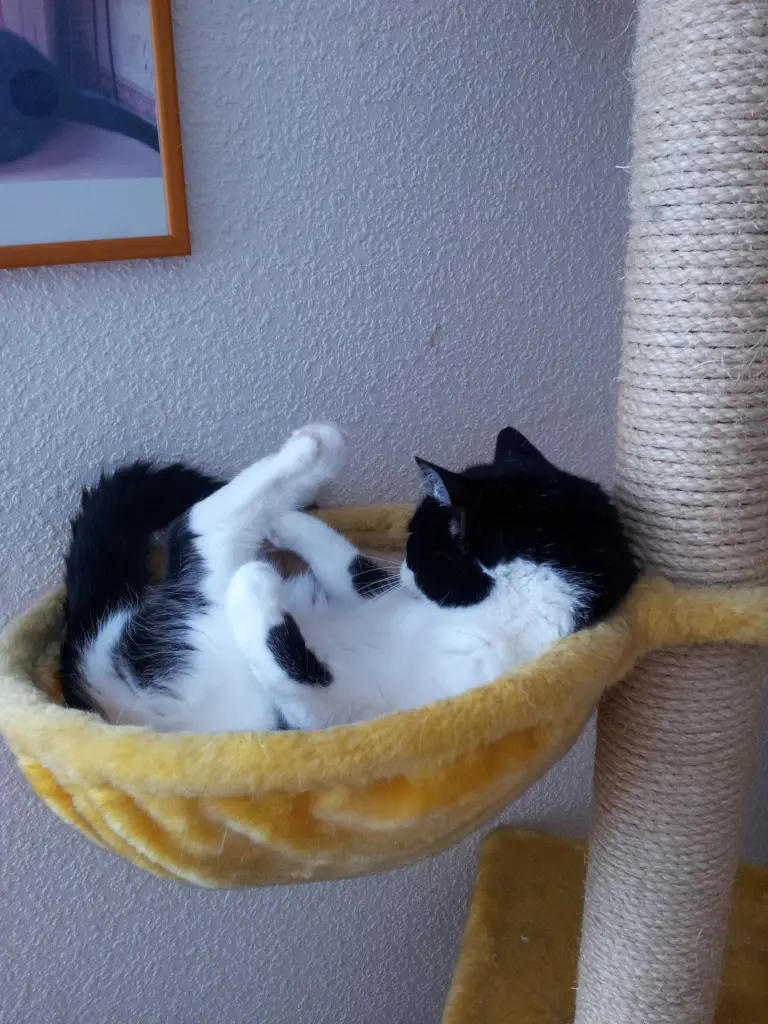 Condolence image of deiner Ilse, 27 Monate ohne dich