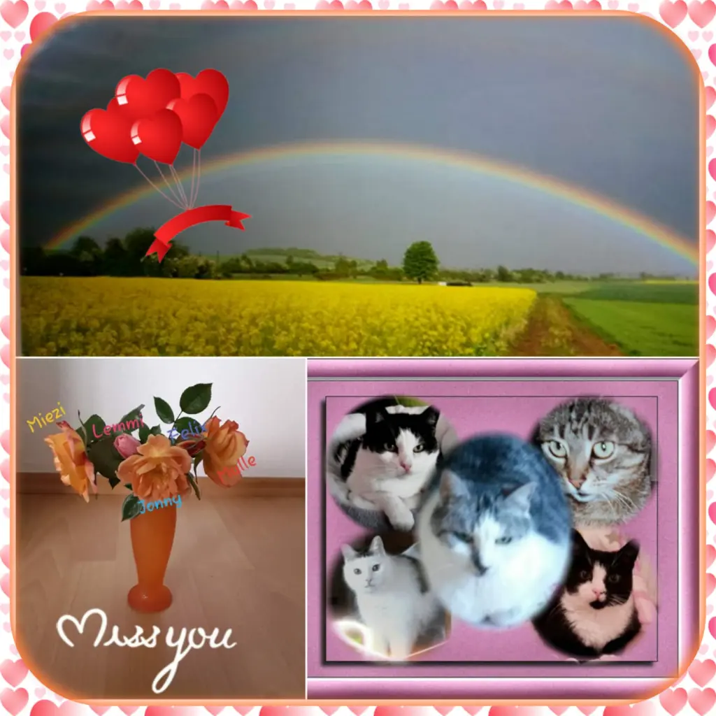 Condolence image of Eike und Edeltraud mit Mulle Miezi, Jonny, Felix und Lemmi tief im Herzen 