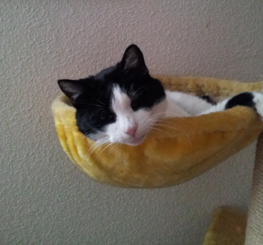 Condolence image of deiner Ilse, 2 Jahre und 5 Monate ohne dich