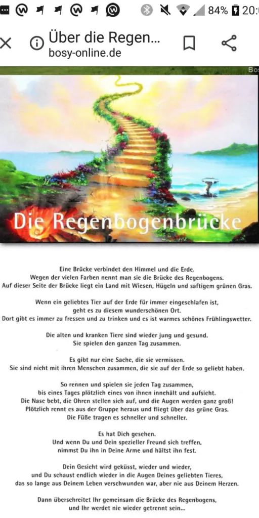 Condolence image of Tanja mit Timmy im Herzen 