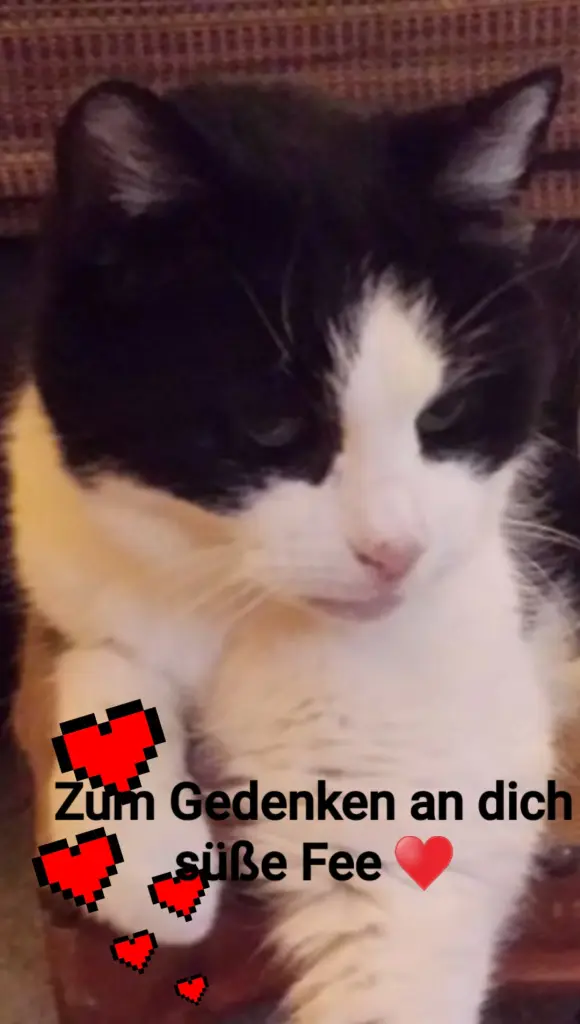 Condolence image of Ellen mit Lina ♥️