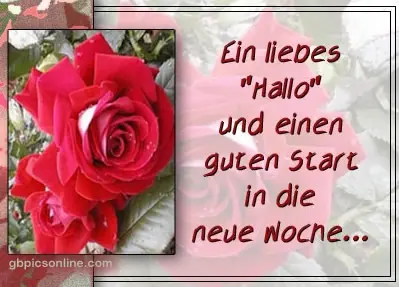 Condolence image of Montags Rosen für Fee ♥️♥️