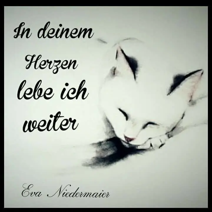 Condolence image of Tanja mit Timmy im Herzen 